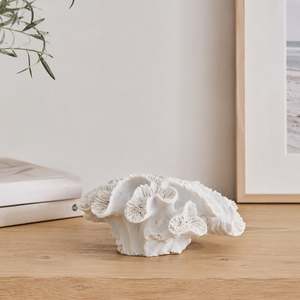 All Deals: Cove Closed Coral Decor