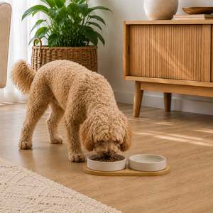 bb&b Pet Large Bamboo Pet Bowl Holder