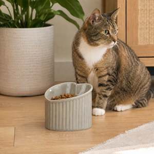 bb&b Pet Love Heart Elevated Cat Bowl Mocha