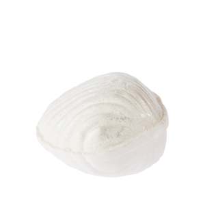 Slippers Bedsocks: Grace & Gild Slipper Shell Bath Fizzer 120g