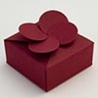 Products: Petal top favour box - Burgundy