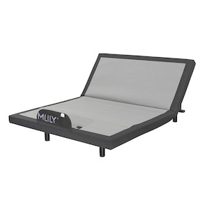 King Single Beds: iActive 20