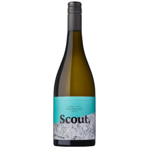 Scout Wines Pinot Gris 2021