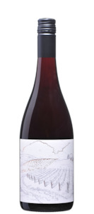 Greystone Vineyard Ferment Pinot Noir 2019/20