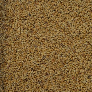 Products: Caramalt (Bairds)