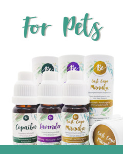 Be Collections: For Pets Collection