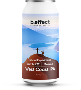 Social Experiment IPA 440ml 12 Pack