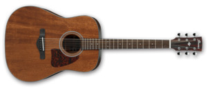 Ibanez AW54 Artwood Acoustic Guitar