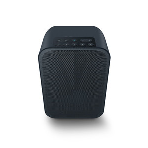 Products: Bluesound Pulse Flex 2i