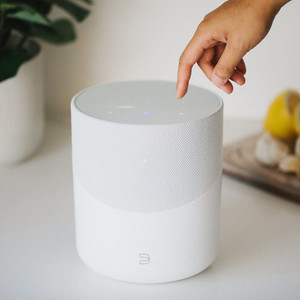 Products: Bluesound Pulse M Streaming Speaker