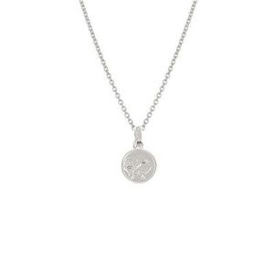 Evolve Bracelets Beija Flor: Evolve Kiwi Coin Necklace