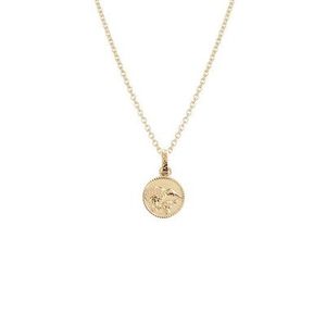 Evolve Bracelets Beija Flor: Evolve Kiwi Coin Necklace Gold Plated