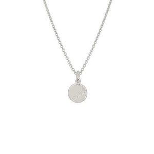 Evolve Bracelets Beija Flor: Evolve NZ Map Coin Necklace