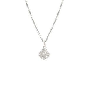 Evolve Bracelets Beija Flor: Evolve Seashell Necklace