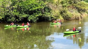 Products: Unique Kayaking Experiences in Auckland