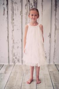 Mesh Ruffle Dress