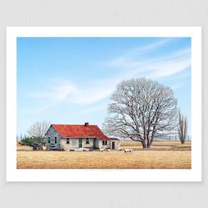 Auckland Prints: Farmhouse Napier Hastings Highway 150