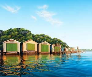 Auckland Prints: Ōrākei Reflections 40