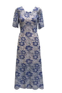 Over 500: Dara Dress - Blue Lace