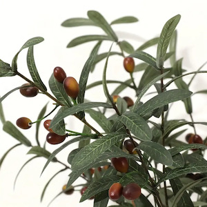 Decor: Artifical olive stems