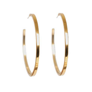 Accessories: Earring, large