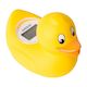 Bath Thermometer - Duck