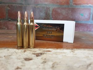 Subsonic: 223 REM 55gr SP – Subsonic (50)