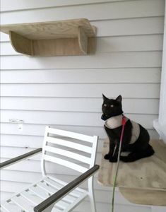 Cat wall furniture: Large Cat Shelf - Wall Mounted - Indoor or Outdoor
