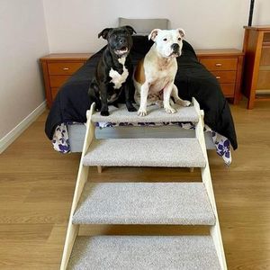 Pet Ramp & Stairs Beloved Pet Furniture: Pet Stairs