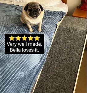 Platform Pet Ramp