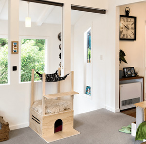 Cat Loft Retreat
