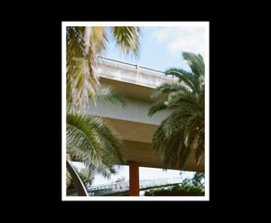 Products: Palm.01