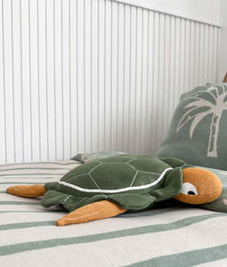 Tim the Turtle