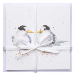 Fairy Tern Greeting Card 5 Pack