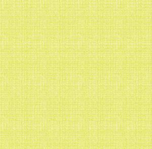 Colourweave Basics: Colourweave Basics - Lemon Lime