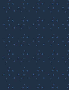 Wilmington - Essential Navy Triangle