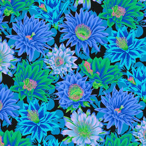 Kaffe Fassett: Free Spirit -Kaffe Fassett - Cactus Flower  Cool