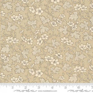 French General: French General – Mignon - Oyster