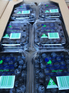 Products: PICK YOUR OWN Blueberry Berries Direct