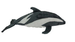 Aurora: Antics Dusky Dolphine with sound 30cm