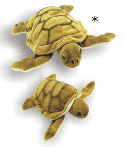 New Arrivals: Antics Wild Sea Turtle Large