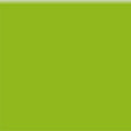 600ml: LIME 600ml