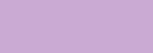 400ml Nbq Slow: N165 PLEASURE VIOLET 400ML