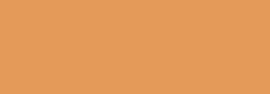 F158 COMBIBROWN 400 ML