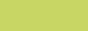 F093 SUEDE GREEN 400 ML