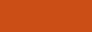 H2029 FERN ROCK ORANGE 400ML