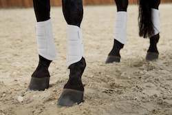 Platinum Pure Softshell Tendon Boots