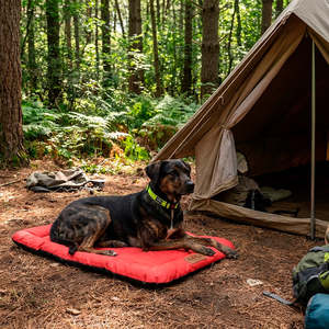 Outdoors: Outdoors Bed