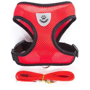 Cat Harness and Leash 7 Colours!