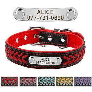 Pet Collars Leashes Harnesses: Leather Pet Collar With Personalised Nameplate